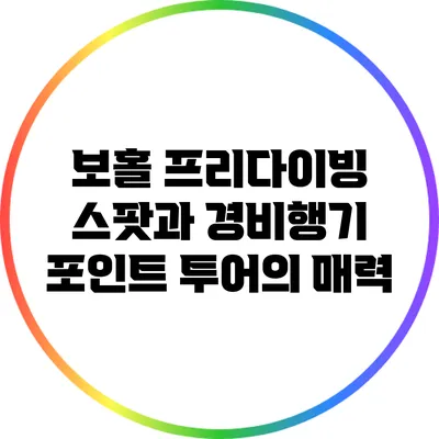 보홀 프리다이빙 스팟과 경비행기 포인트 투어의 매력
