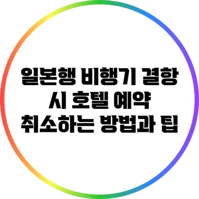 일본행 비행기 결항 시 호텔 예약 취소하는 방법과 팁