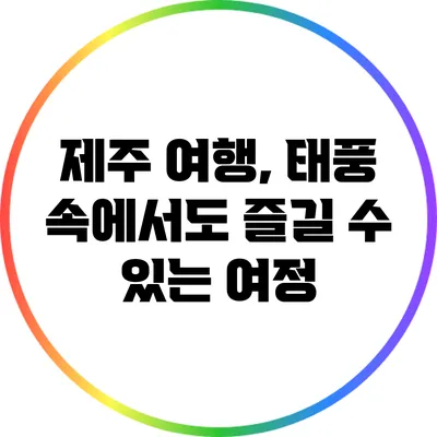 제주 여행, 태풍 속에서도 즐길 수 있는 여정