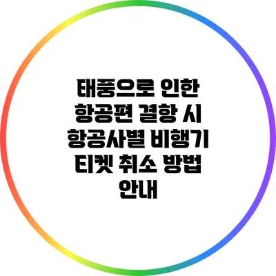 태풍으로 인한 항공편 결항 시 항공사별 비행기 티켓 취소 방법 안내